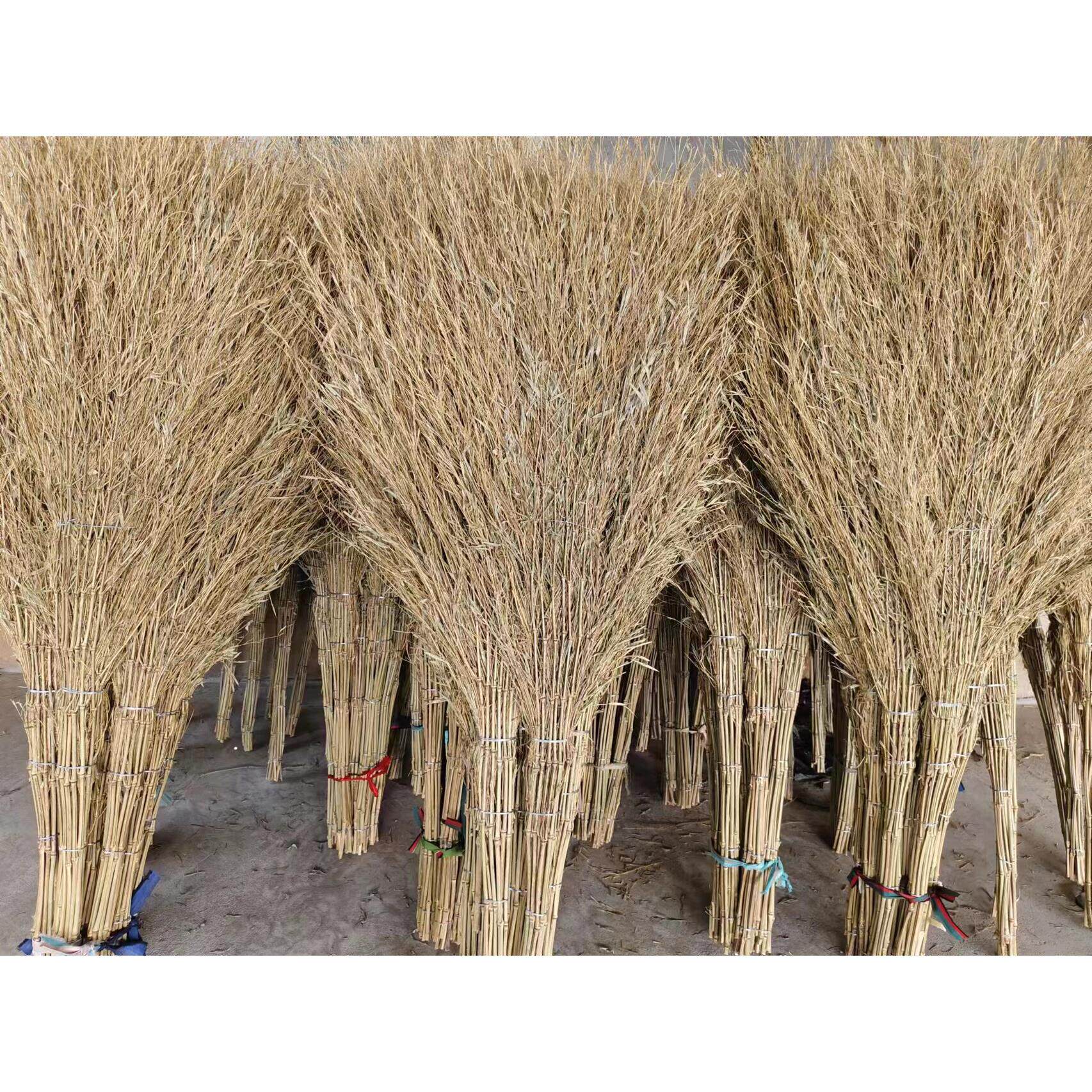 大扫把户外工厂环卫竹扫把马路手工扫帚加大加厚地面打扫清洁工具