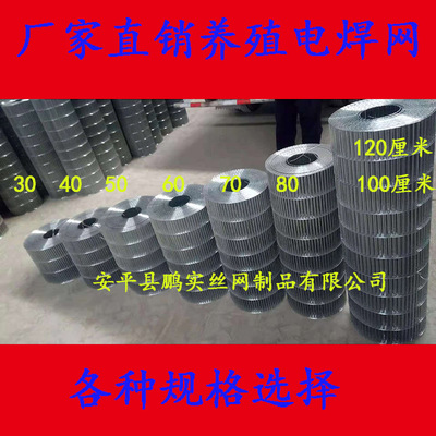 种兔笼网片养殖网 养殖用笼子底网  丝网底  笼子底 自制笼子网片