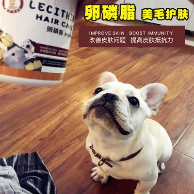 超浓缩狗狗卵磷脂法斗英斗巴哥恶霸泰迪金毛护肤美毛海藻粉