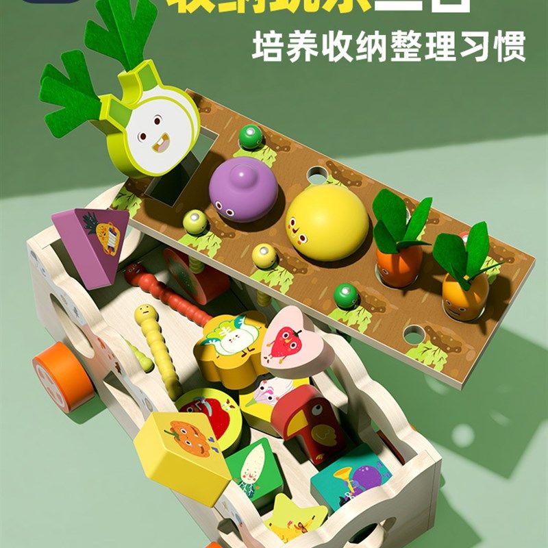木制益智多功能仿真农场果蔬拔萝卜捉虫形状智力盒车幼儿早教玩具,玩具/童车/益智/积木/模型,普通塑料积木,淘宝优惠券,粉丝福利购,淘宝优惠卷