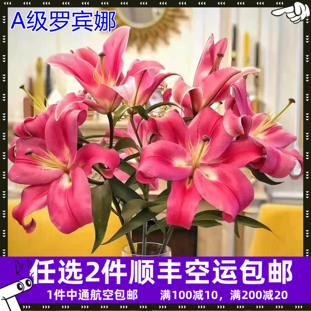 A级罗宾娜百合鲜花云南基地直发昆明斗南直批空运水养花苞红色婚