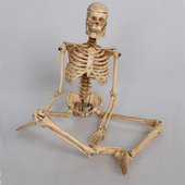 鱼缸造景套餐潮摆件爬宠碉罐骸骨食人鱼沉底景观树脂仿真骷髅骨架