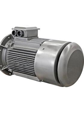 鸿泰低压大外圆电机tYE4-3553-8t315KWt380V/660Vt密封设计良好