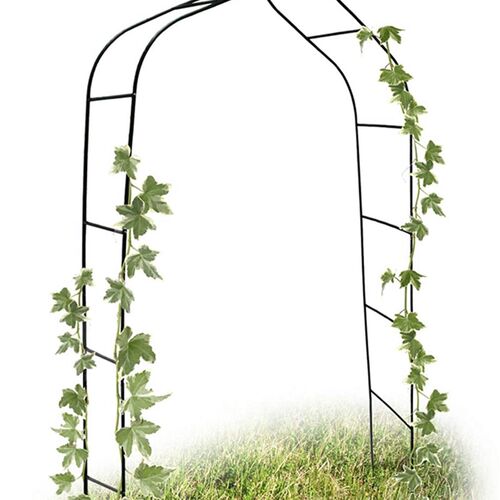 花架铁艺拱门花架葡萄月季铁线莲爬藤架特大庭院花架攀爬花支架