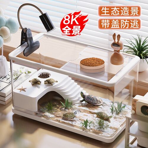 乌龟饲养缸家用小型爬台龟苗饲养盒发色盒养寄居蟹专用可视周转箱