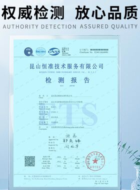 GAOPIN/高品 测量精度校正尺 微米级标定校正尺 光学测量刻度尺