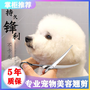 宠物剪刀美容剪狗狗泰迪剪狗毛修毛工具套装直剪翘剪牙剪剪短打薄