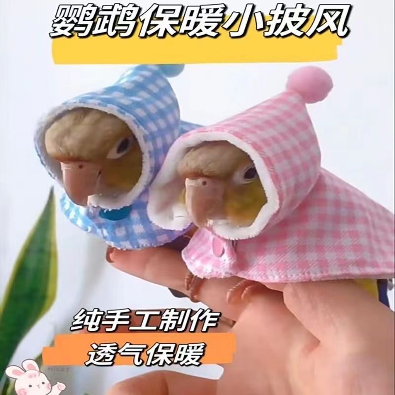 鹦鹉披风斗篷鹦鹉披风小斗篷防飞服过冬鸟衣服虎皮玄凤围脖防咬防,宠物/宠物食品及用品,鸟禽服饰,淘宝优惠券,粉丝福利购,淘宝优惠卷