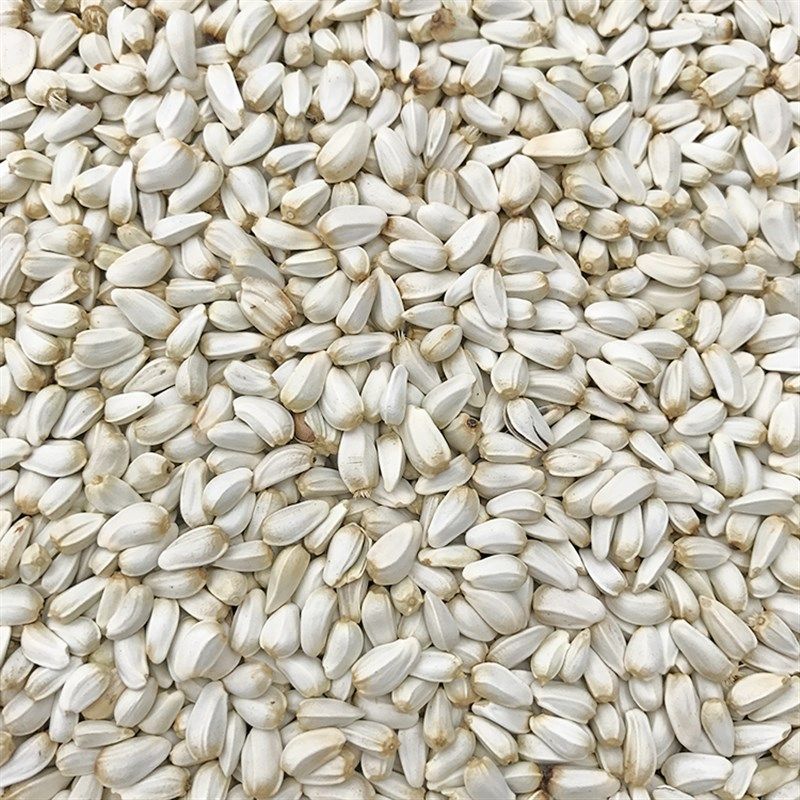 红花子/红花籽/白瓜子 金刚鹦鹉鸟食鸟粮 仓鼠粮食鸽粮 5斤包邮,宠物/宠物食品及用品,鸟食,淘宝优惠券,粉丝福利购,淘宝优惠卷