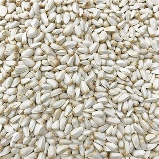 红花子/红花籽/白瓜子 金刚鹦鹉鸟食鸟粮 仓鼠粮食鸽粮 5斤包邮