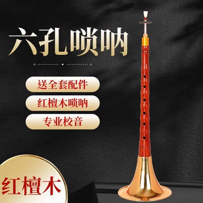 红檀木六孔唢呐6孔初学者乐器笛子唢呐喇叭全套专业降B调D调演奏