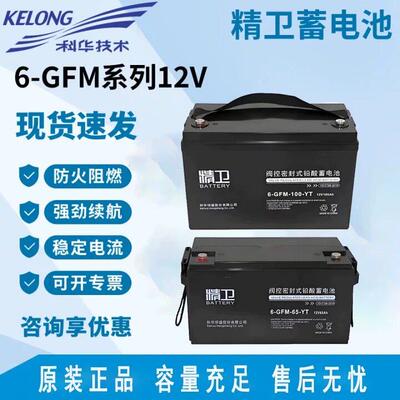 科华6-GFM-100-YT直流屏12V24A38A65A100AH机房备用