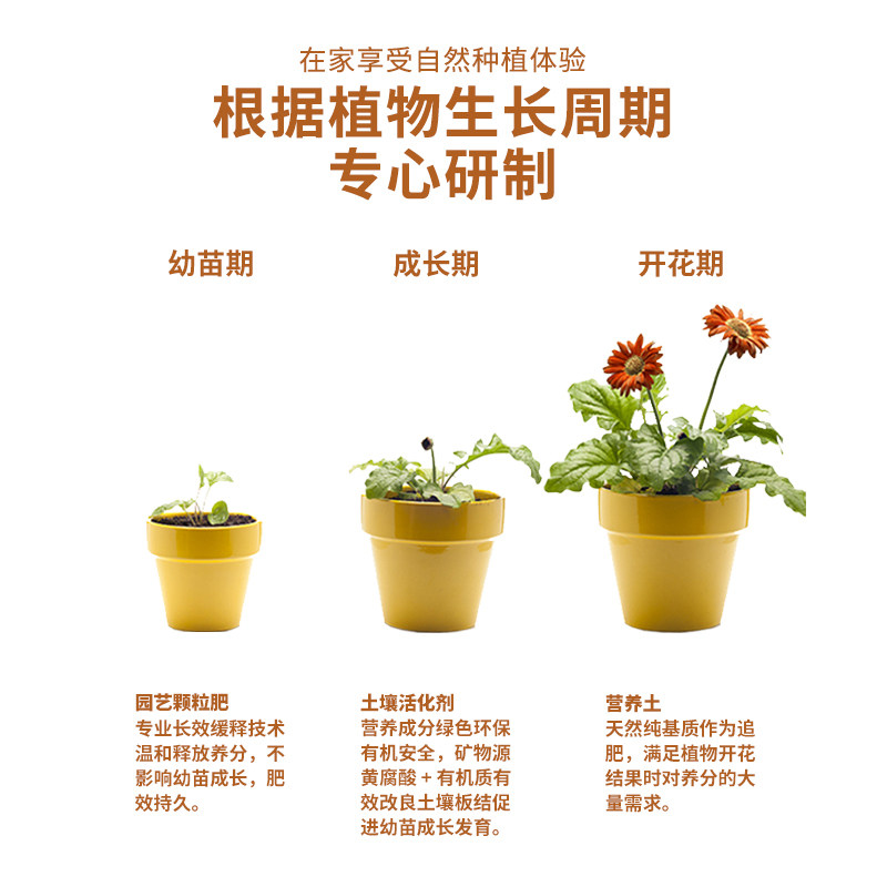 昆仑十二仙园艺颗粒肥有机花肥缓释肥花卉蔬菜果树多肉盆栽通用型,鲜花速递/花卉仿真/绿植园艺,家庭园艺肥料,淘宝优惠券,粉丝福利购,淘宝优惠卷