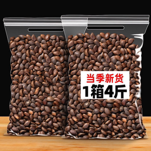 【送夹子】云南落水生松子散装新鲜原味孕妇树籽松仁手剥落水黑松