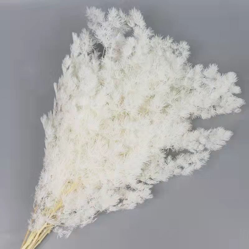 蓬莱松 永生花干花松蓬莱松客厅摆设软装礼盒diy材料云南枝知花卉