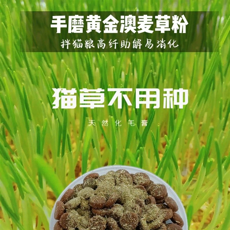 【手磨猫草粉】猫粮伴侣排毛球助消化吐毛麦苗粉天然化毛膏福猫馆,宠物/宠物食品及用品,猫草/猫草片,淘宝优惠券,粉丝福利购,淘宝优惠卷