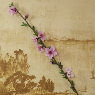 家用桃花枝插花瓶水培开花桃树枝干枝客厅窗台鲜切枝条水养桃木枝