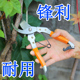 修枝剪 树枝剪刀枝剪修剪水果园艺家用园林果剪枝果树花剪强力