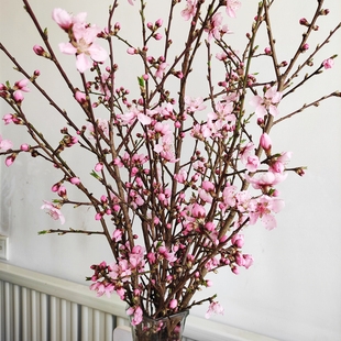家用桃花枝插花瓶水培开花桃树枝干枝客厅窗台鲜切枝条水养桃木枝