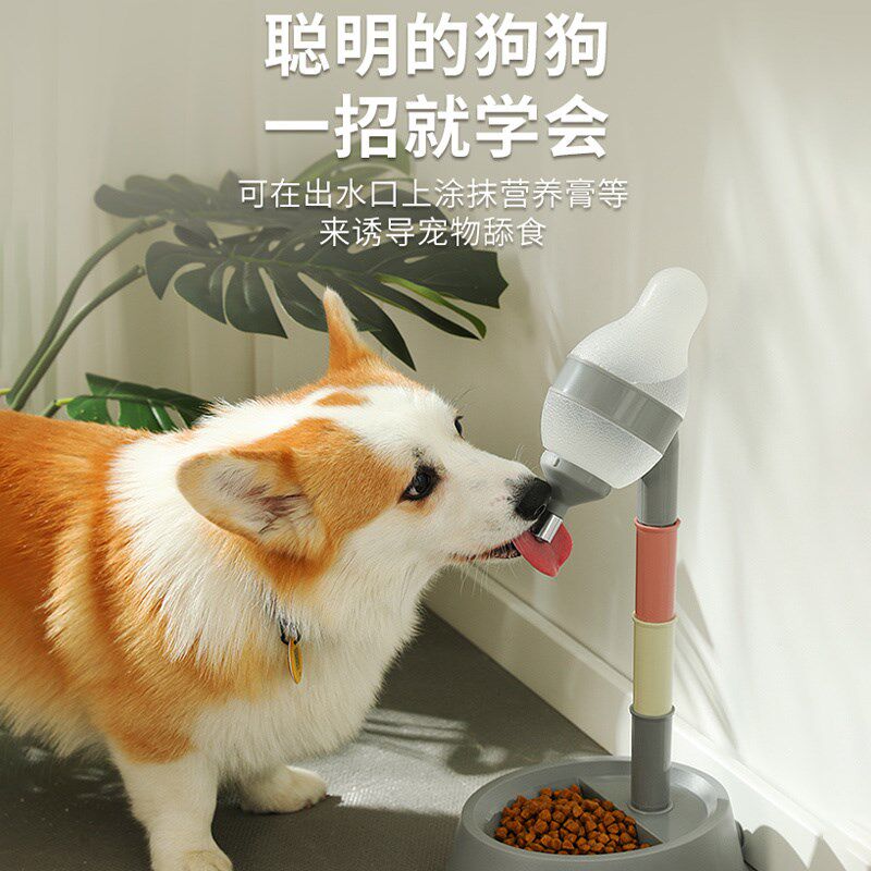 雪纳瑞专用喝水器不湿嘴狗狗幼犬水壶饮水机自动饮水器食碗用品