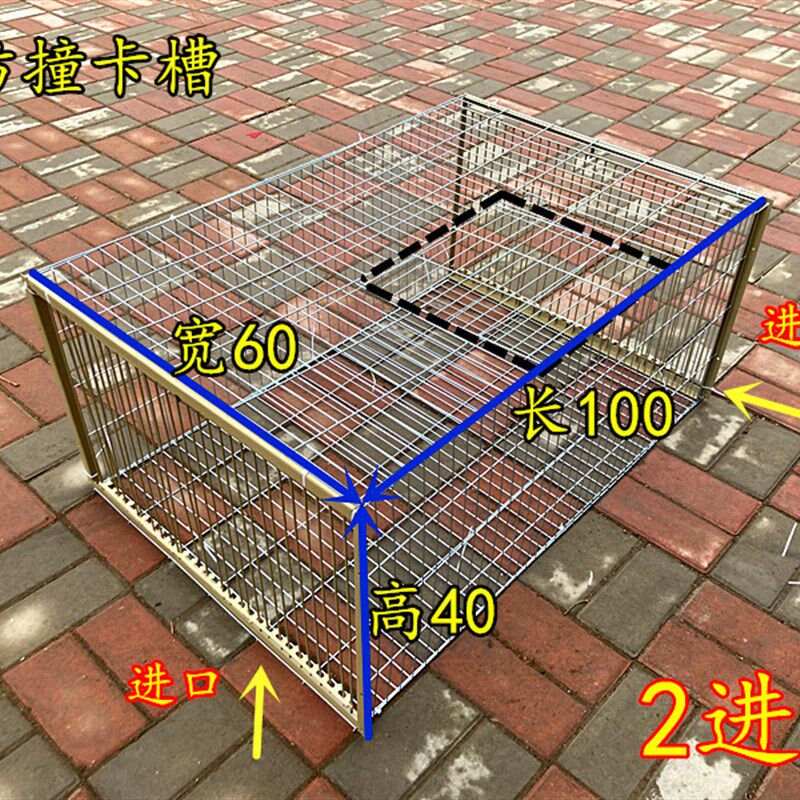 鸽子撞门鸽子活络门笼撞门鸽笼铁笼只进不出跳笼天落笼撞门自动门