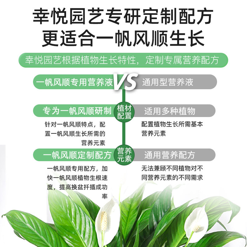 一帆风顺营养液花肥盆栽水培白掌营养液专用肥料白鹤芋红掌专用土