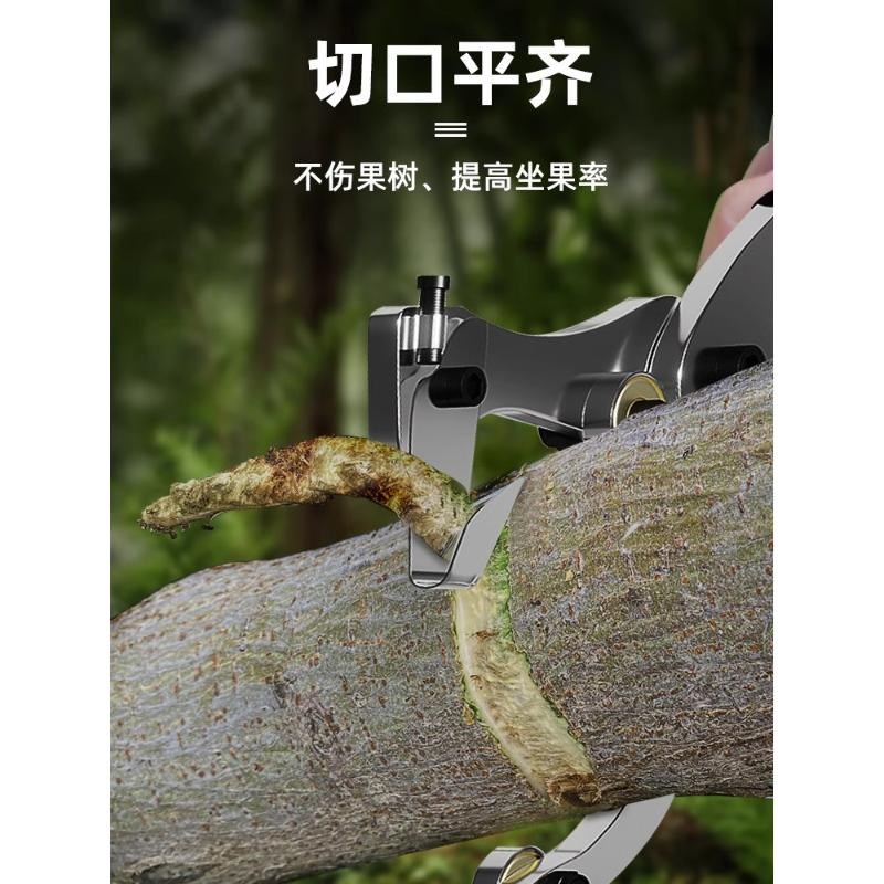 柑橘环割刀果树枣树葡萄荔枝树环剥器环剥剪果树神器割树皮环果刀