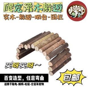 爬宠陆龟鬓狮蜥蜴乌龟躲避洞屋寄居蟹黄缘龟躲避窝饲养箱造景晒台