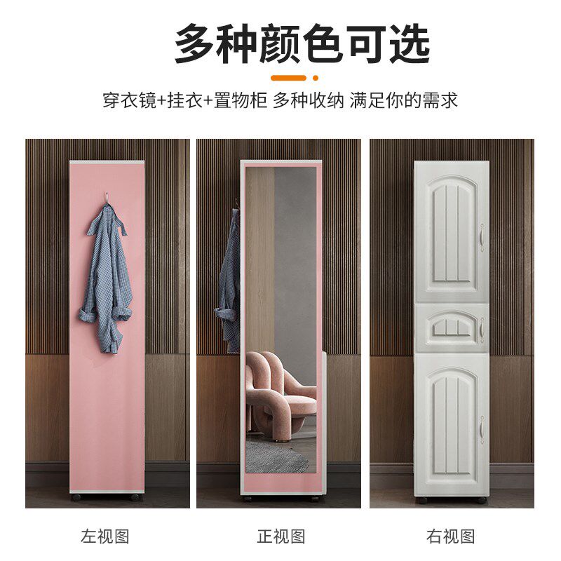 全身穿衣镜带门储物收纳柜一体多功能家用可移动网红落地试衣镜子