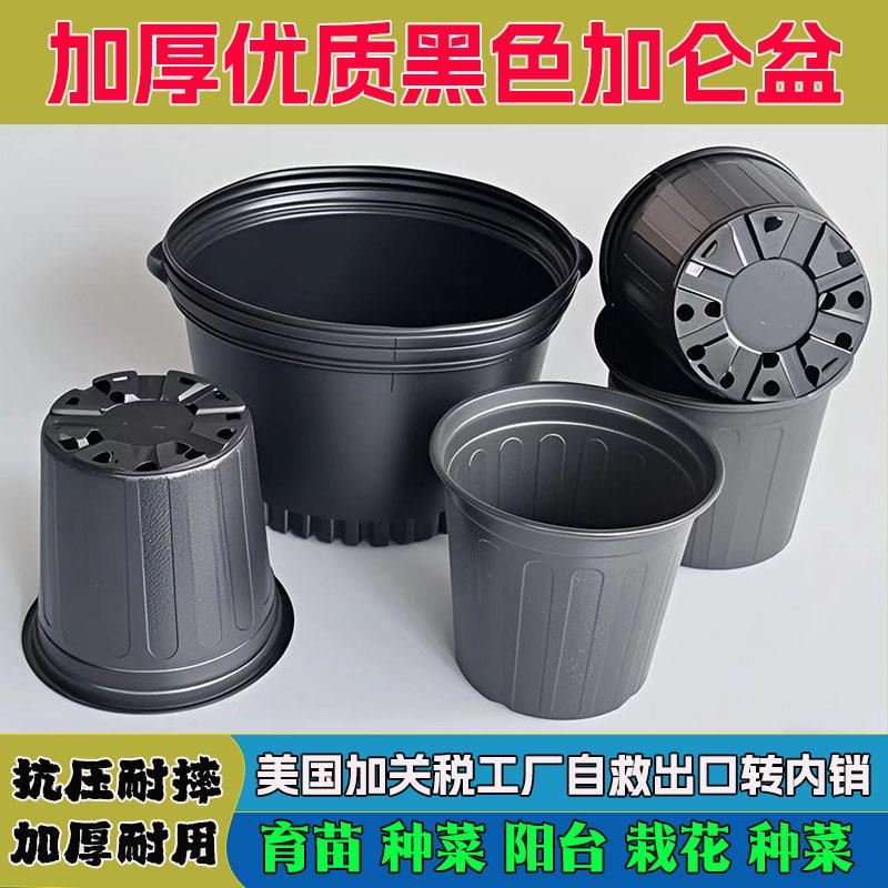 黑色加仑盆加厚软塑料花盆阳台育苗杯防老化重复使用育苗盆营养钵