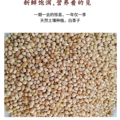 鸟食白糜子白黍子带壳大黄米1件5斤饲料中小型鹦鹉虎皮牡丹玄凤