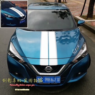 通用机盖贴纸 蓝鸟个性引擎盖拉花 前车盖改装贴思域领动速腾车贴