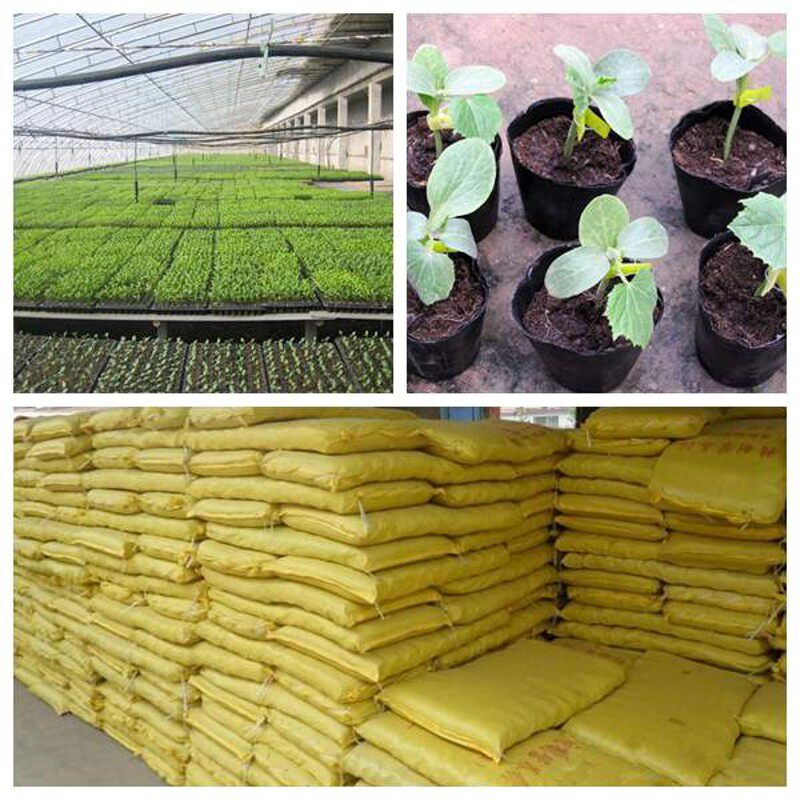 营养杯育苗杯大号袋加厚一次性塑料农用西瓜种植柑橘育苗盆营养钵