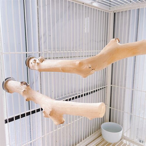 8玖-酸枣木鹦鹉站杆鸟用品鸟笼配件磨牙棒鸟窝原木色站杠造型随机