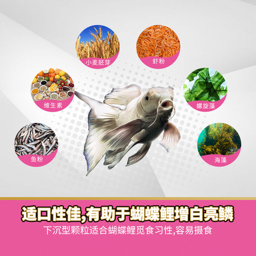 寸金鱼食蝴蝶锦鲤鱼专用饲料高蛋白下沉型鱼粮蝴蝶鲤锦鲤鱼料包邮