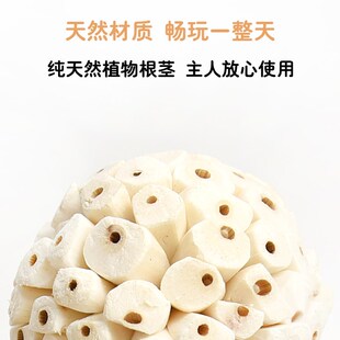 鹦鹉啃咬玩具日常解闷用品通草球虎皮玄风专用磨牙玩具鹦鹉通草球