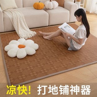 藤编凉席地毯2024新款夏季婴儿童爬行垫卧室床边地铺客厅地垫席子