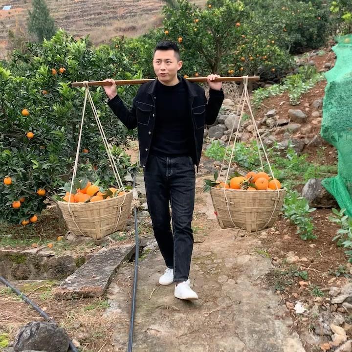 橙子新鲜巫山纽荷尔脐橙巫山恋橙甜橙当季现摘薄皮孕妇橙整箱礼盒