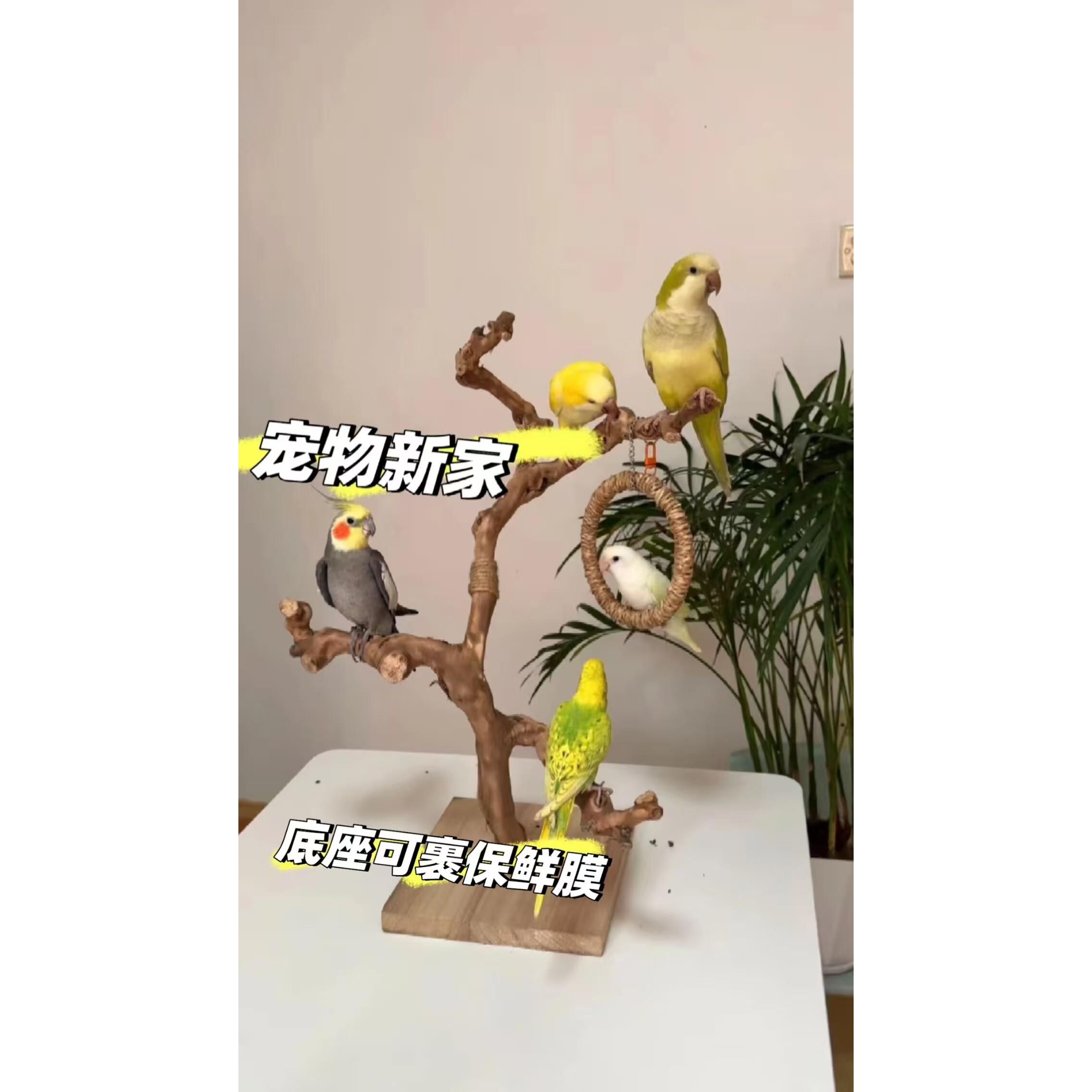 葡萄藤鸟站杆鹦鹉站架树枝训鸟架子站棍落地式虎皮玄风天然秋千杆
