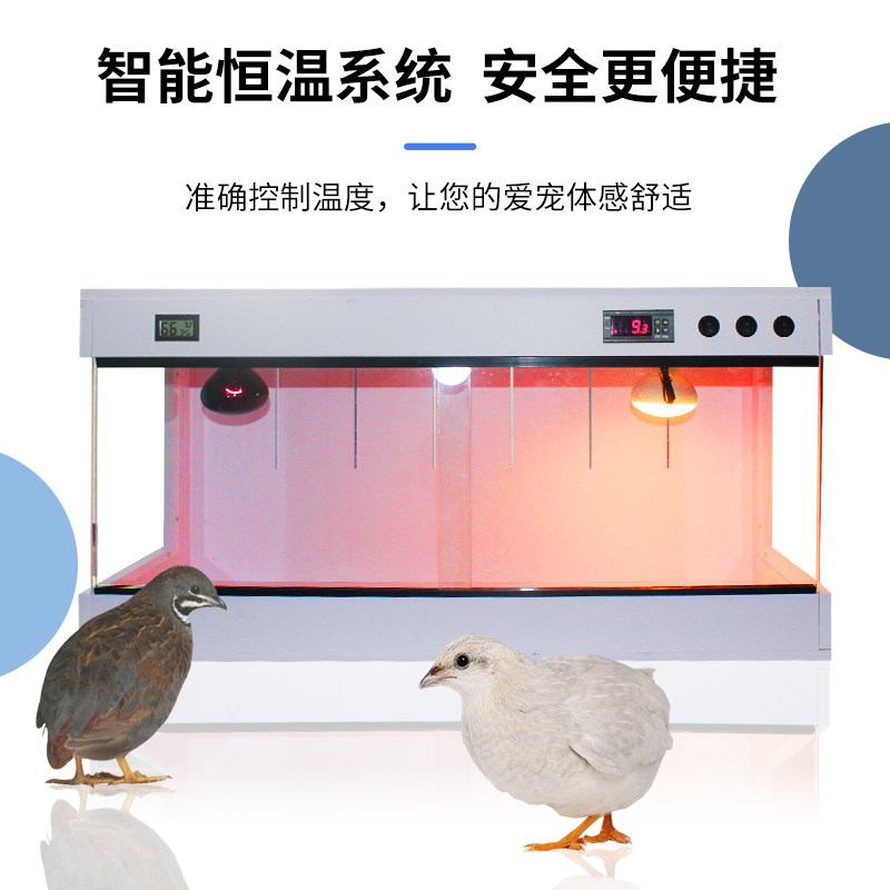 pvc爬虫爬宠鬃狮饲养箱乌龟蜥蜴蛇陆龟宠物恒温加温芦丁鸡保温箱