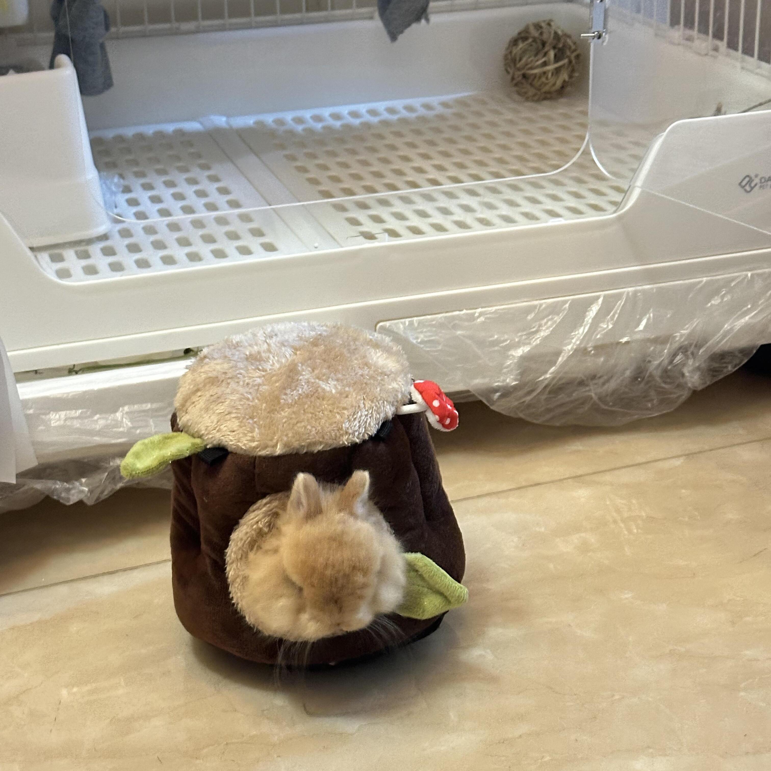 侏儒兔子窝冬季保暖荷兰猪仓鼠躲避屋松鼠龙猫蜜袋鼯棉窝刺猬睡窝