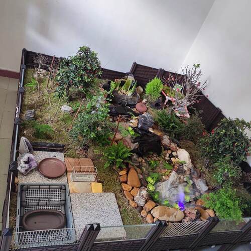 黄缘龟专用缸龟饲养箱安缘台缘闭壳龟苗造景植物生态环境乌养殖箱