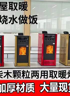 全自动生物质颗粒取暖炉室内家用冬季采暖炉无烟壁炉燃料环保炉子