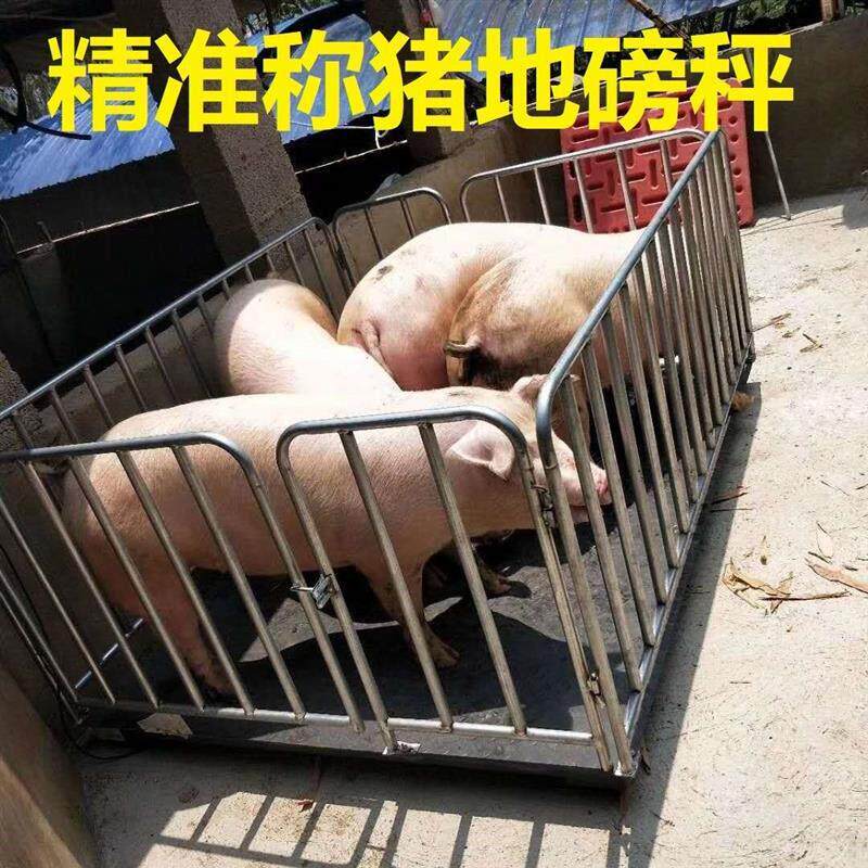 包邮地磅秤称猪称牛电子秤电子地磅秤称1-3吨地磅带围栏畜牧地秤