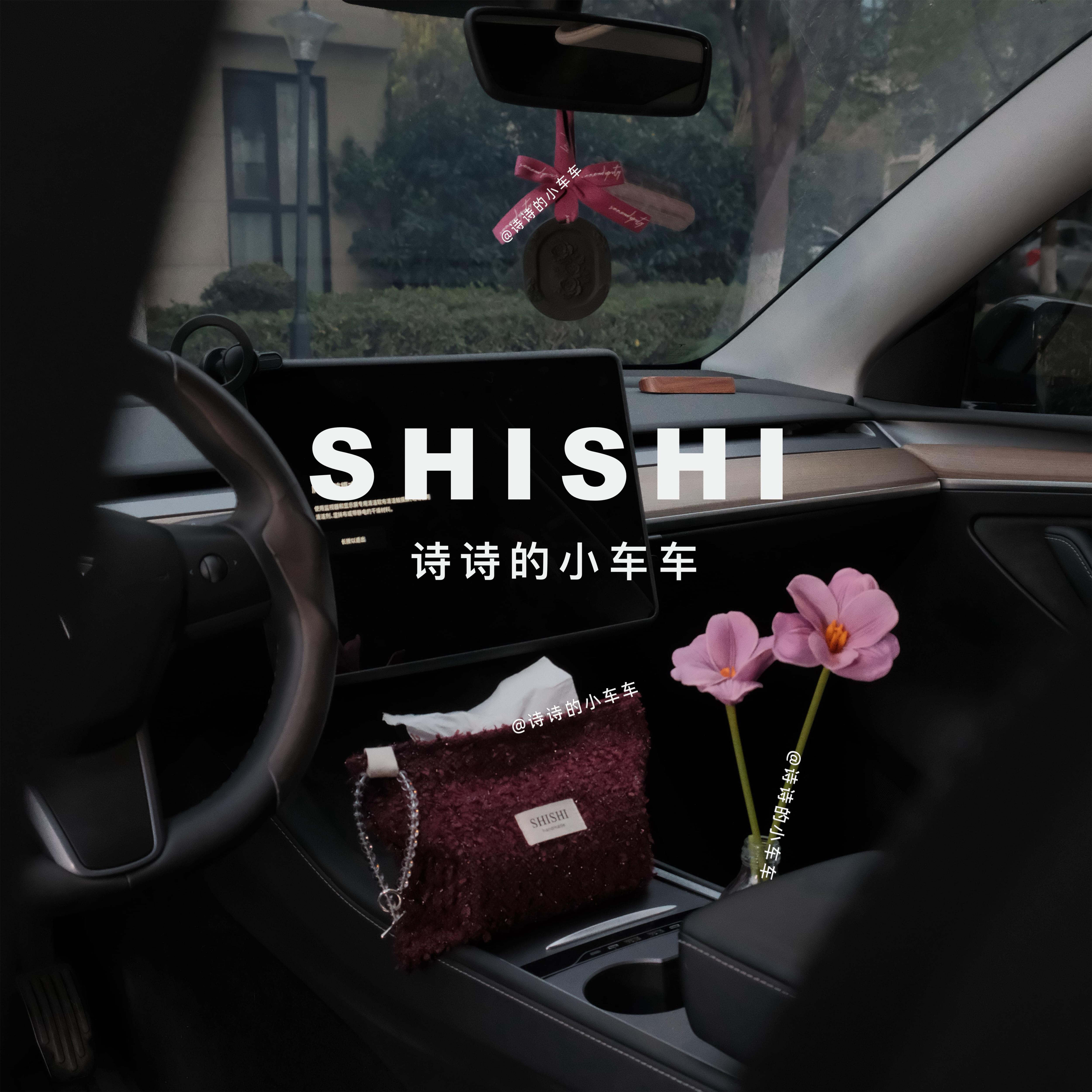 SHISHI 浆果扩香石汽车挂件 星光葡萄紫纸巾袋 高级感车载纸巾盒