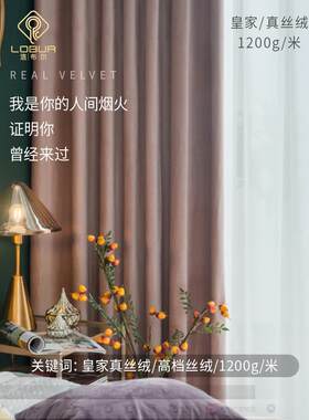 北欧简约加厚保暖真丝绒窗帘绒布窗帘遮光脏粉色少女卧室