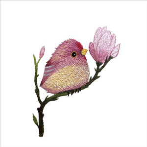 苏绣diy初学套件 0基础针迹可爱小鸟 手工刺绣装饰画 非