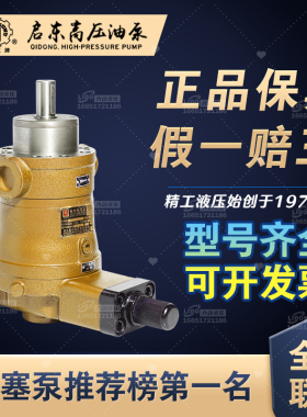 精工牌YCY14-1B原装启东高压油泵有限公司轴向柱塞泵剪板折弯机