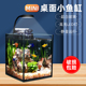 超白鱼缸客厅迷你家用斗鱼缸桌面水族箱造景懒人养鱼水草缸生态缸