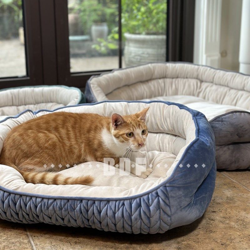 贝多芬宠物/猫窝冬季保暖泰迪法斗狗床四季通用宠物猫窝狗垫子犬,宠物/宠物食品及用品,猫窝/屋/帐篷/沙发,淘宝优惠券,粉丝福利购,淘宝优惠卷